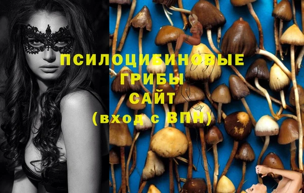 PSILOCYBIN Карпинск