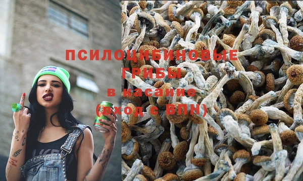прущая мука Карталы