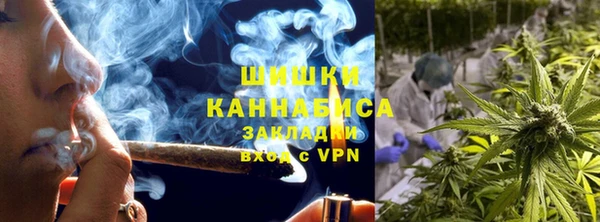 PSILOCYBIN Карпинск