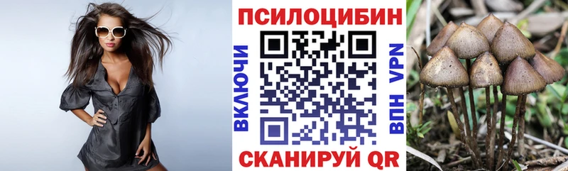 Купить  Кувшиново  Галлюциногенные грибы MAGIC MUSHROOMS 